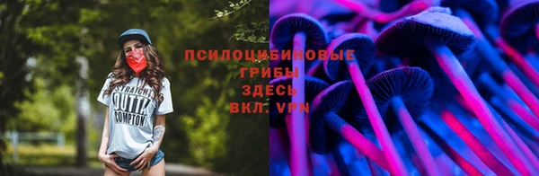 бошки Новозыбков
